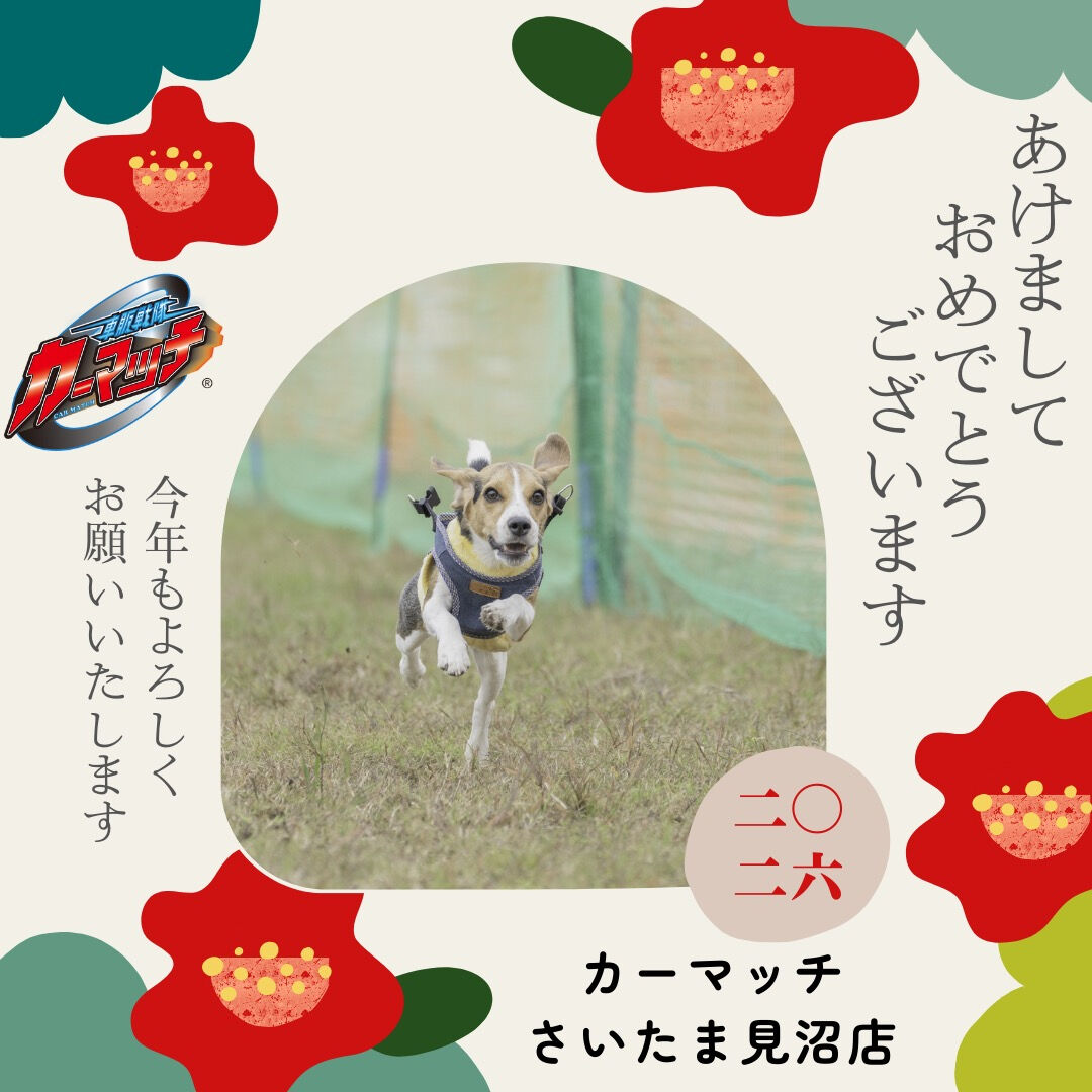 🎍✨ あけましておめでとうございます ✨🎍