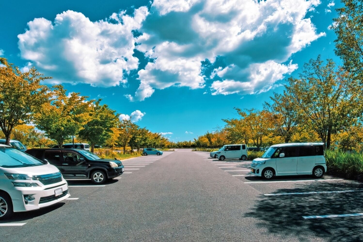 画像1719