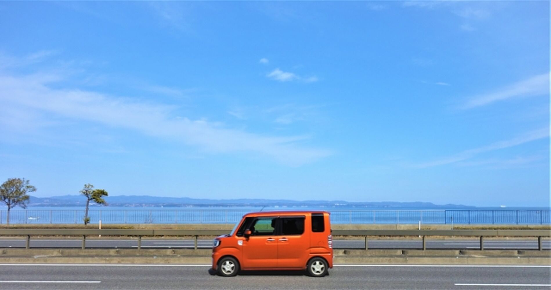 画像3144