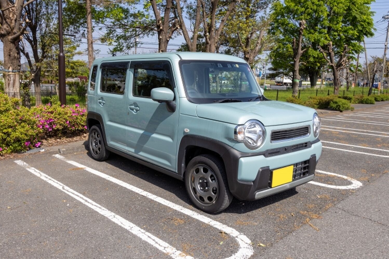 画像3181